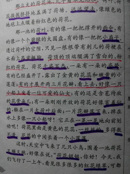 美文美句摘抄大全80字_(优美散文摘抄80字)