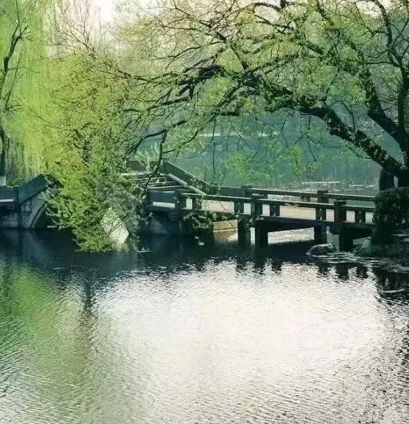 描写夏天梅雨季节的句子 描写夏天梅雨季节的句子