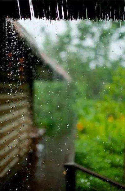 描写夏天梅雨季节的句子 描写夏天梅雨季节的句子