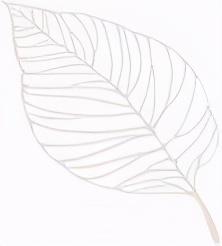 形容四个季节的简单句子 形容四个季节的简单句子
