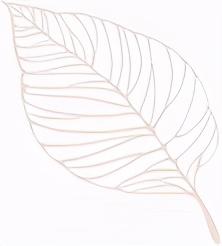 形容四个季节的简单句子 形容四个季节的简单句子