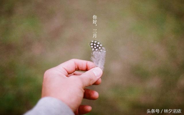简短又优美的季节的句子