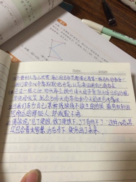 优美的句子摘抄高中_(优美的句子摘抄小学生)