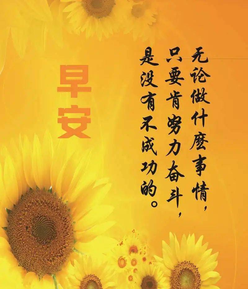 描写12月份季节的优美句子的简单介绍