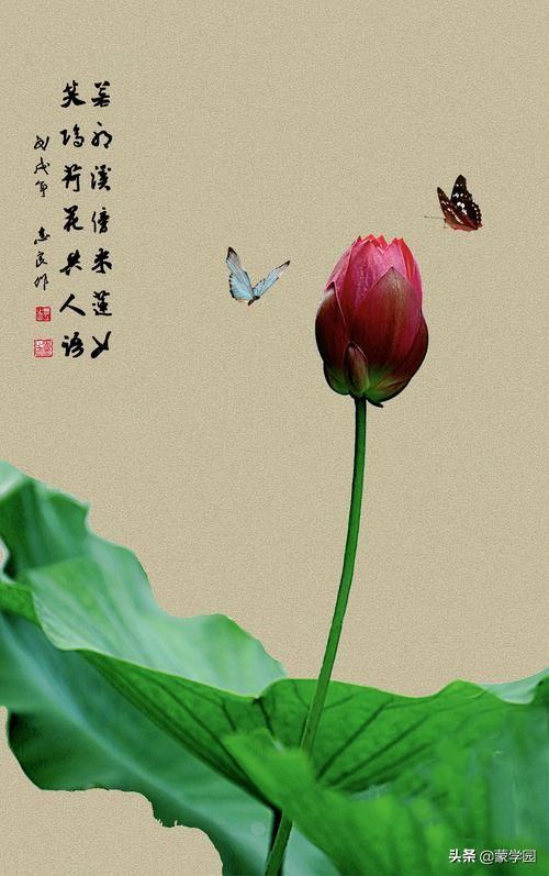 写季节的优美句子春夏秋冬 写季节的优美句子春夏秋冬