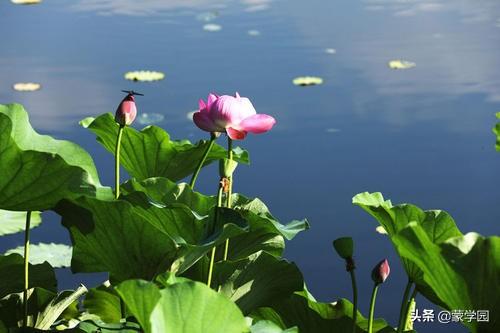 写季节的优美句子春夏秋冬 写季节的优美句子春夏秋冬