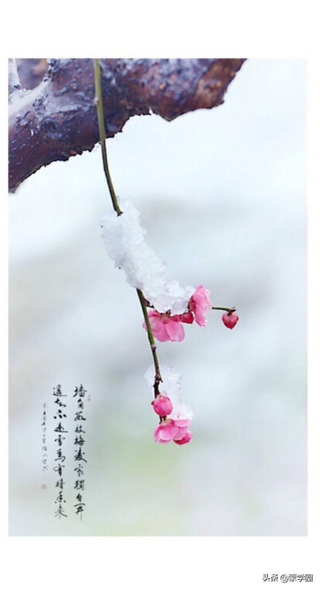 写季节的优美句子春夏秋冬 写季节的优美句子春夏秋冬