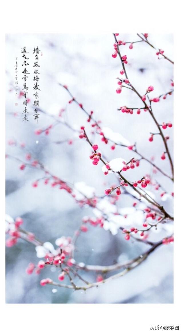 写季节的优美句子春夏秋冬 写季节的优美句子春夏秋冬
