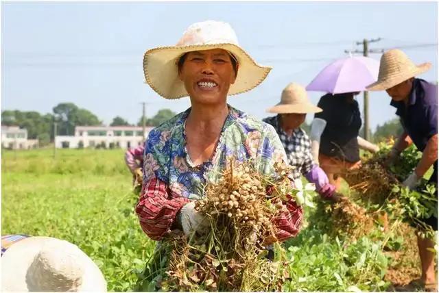 关于收获的季节的句子