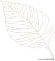 关于描写季节的句子(短) 关于描写季节的句子(短)