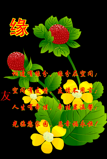 这个季节关心的句子 这个季节关心的句子