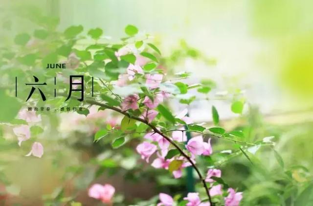 描写6月初夏季节的句子 描写6月初夏季节的句子