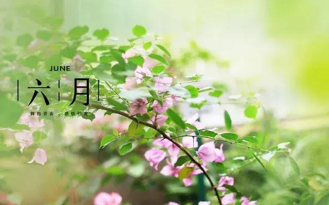 描写6月初夏季节的句子 描写6月初夏季节的句子