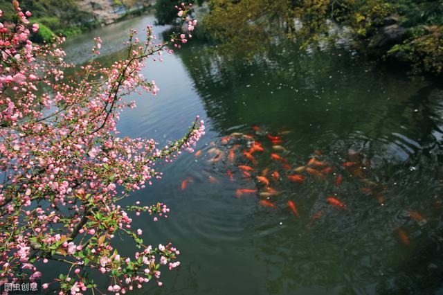 写季节的句子 10字 写季节的句子 10字