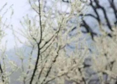 美文美句摘抄大全简短赏析 美文美句摘抄大全简短赏析