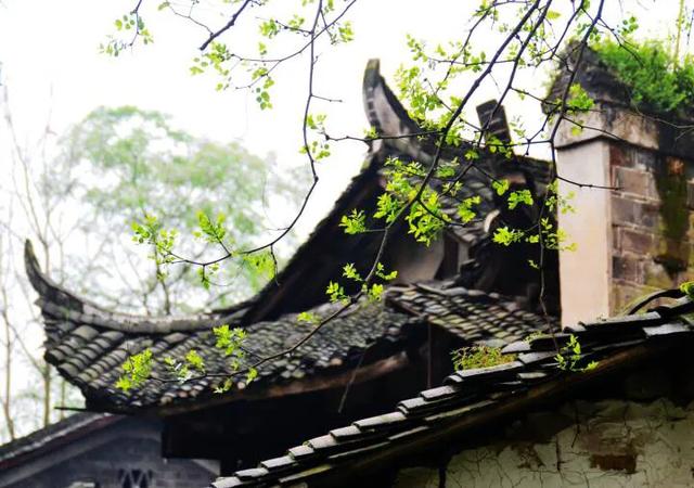 美文美句摘抄大全简短赏析 美文美句摘抄大全简短赏析