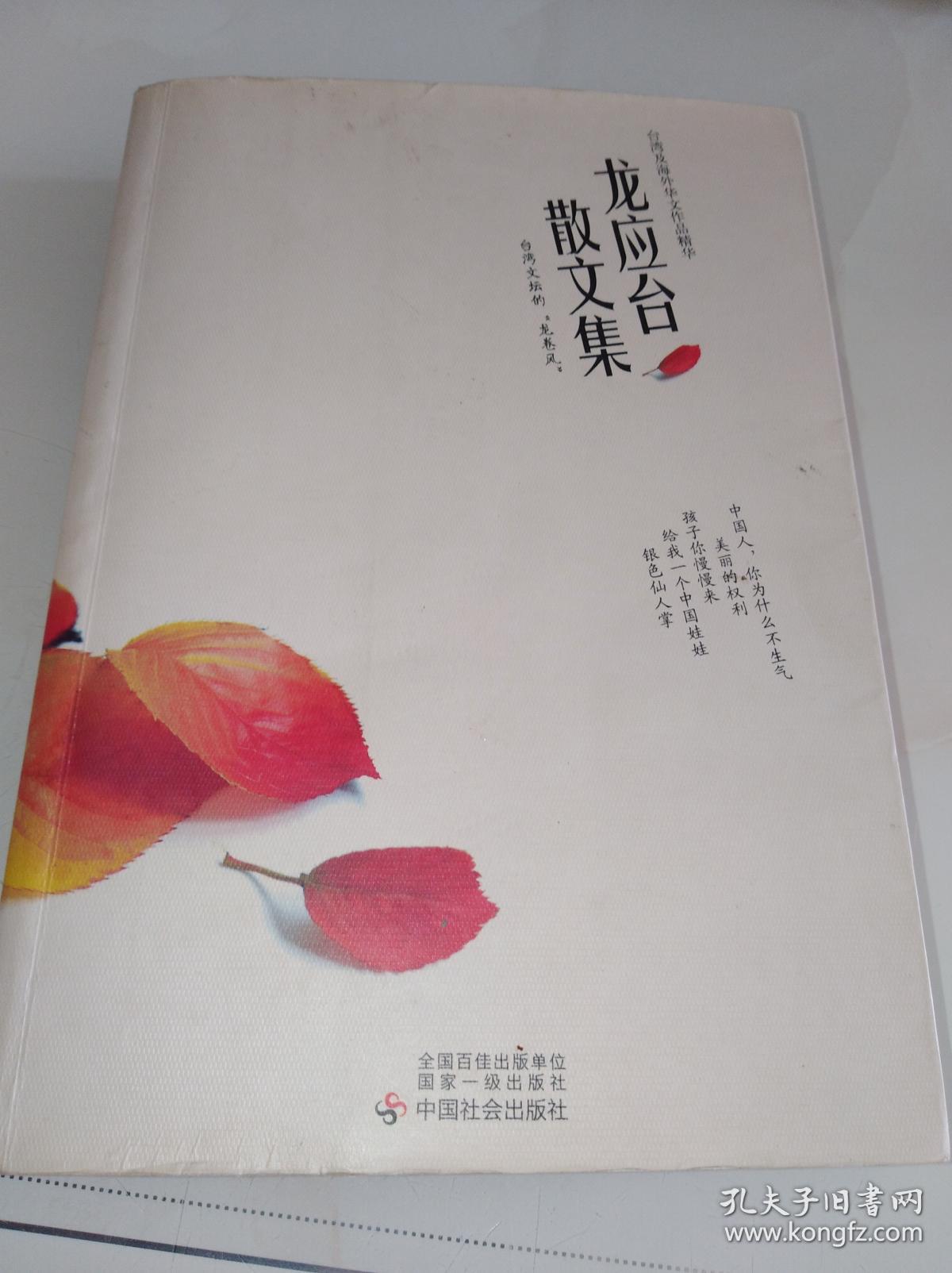 龙应台的精选美文(龙应台散文摘抄出自)