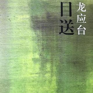 龙应台精选美文赏析(龙应台爱情散文精选)