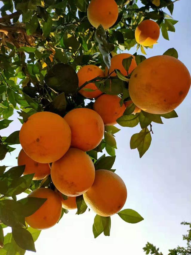 冬天是收获的季节句子 冬天是收获的季节句子