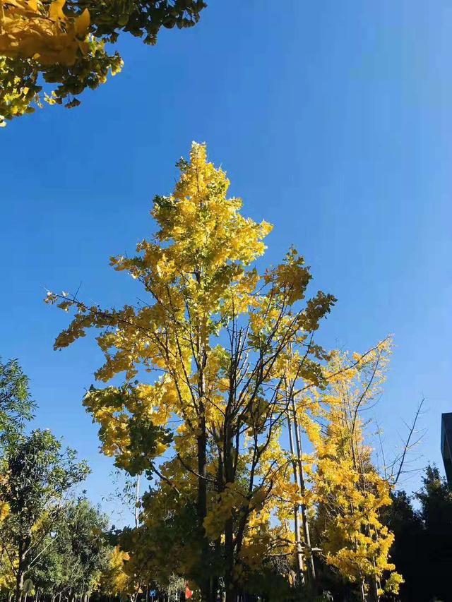 冬天是收获的季节句子 冬天是收获的季节句子