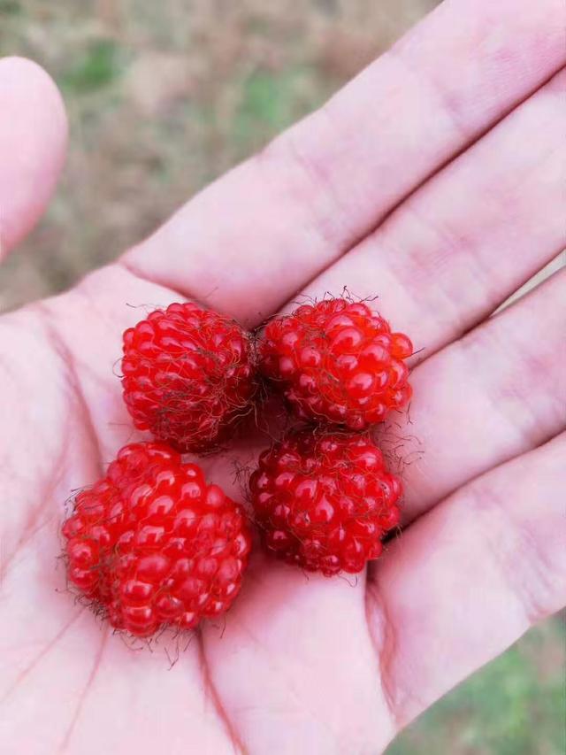 冬天是收获的季节句子 冬天是收获的季节句子