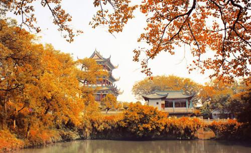 美文欣赏:十篇关于秋天景色的作文(100-1000字)