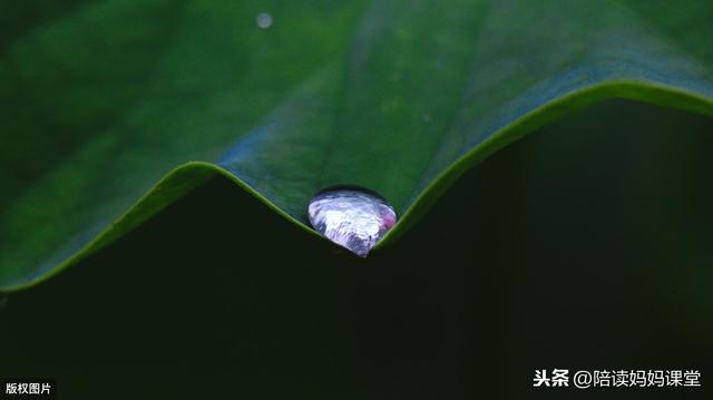 三年级关于季节的优美句子 三年级关于季节的优美句子