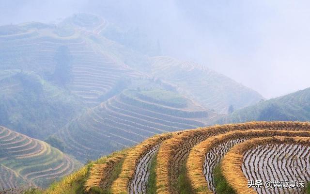 丰收的季节发朋友圈的句子 丰收的季节发朋友圈的句子