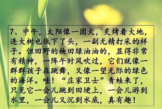 描写季节的优美句子短一些 描写季节的优美句子短一些
