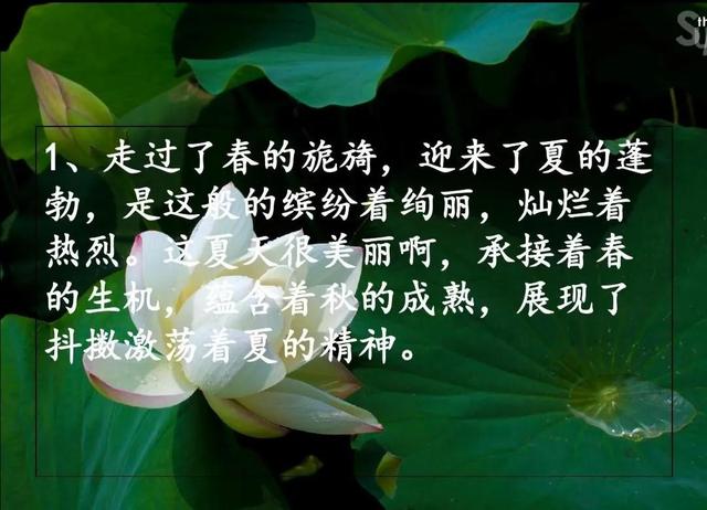 描写季节的优美句子短一些 描写季节的优美句子短一些