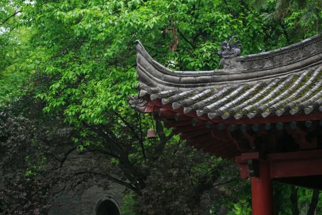 向往的生活美文美句 向往的生活美文美句