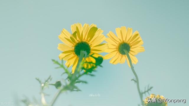 青春古风美文美句摘抄 青春古风美文美句摘抄