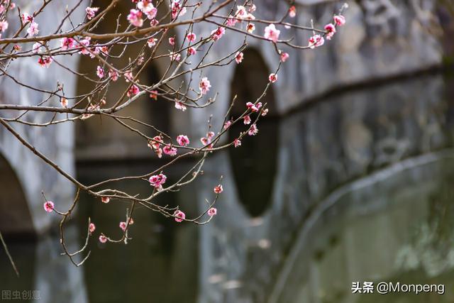 青春古风美文美句摘抄 青春古风美文美句摘抄