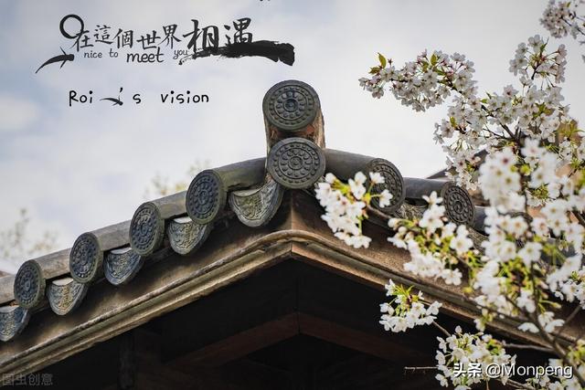 青春古风美文美句摘抄 青春古风美文美句摘抄