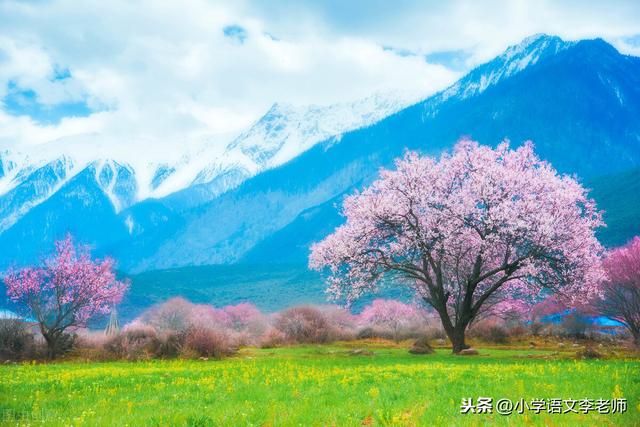 关于季节事物变化的句子 关于季节事物变化的句子