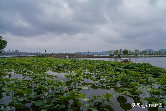 形容梅雨季节的搞笑句子 形容梅雨季节的搞笑句子