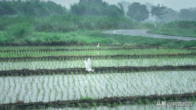 形容梅雨季节的搞笑句子 形容梅雨季节的搞笑句子
