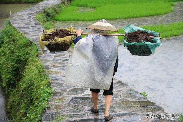 形容梅雨季节的搞笑句子 形容梅雨季节的搞笑句子