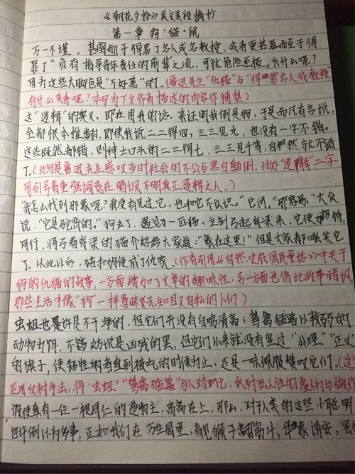 精选美文摘抄300字(励志美文摘抄800字)
