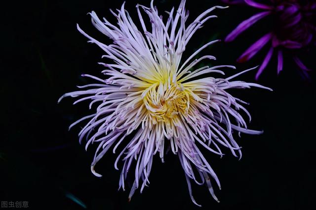秋天是个丰收的季节仿写句子 秋天是个丰收的季节仿写句子