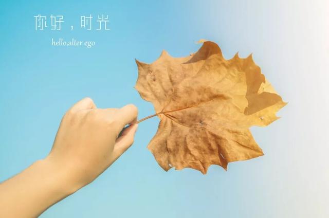美文美句短句摘抄大全 美文美句短句摘抄大全