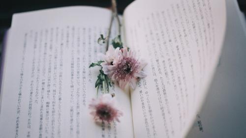 精选美文摘抄250(好段落每篇不少于250字)