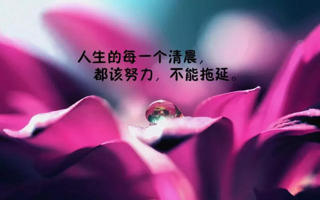 震撼心灵的3篇励志美文,值得一读