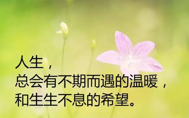 震撼心灵的3篇励志美文,值得一读