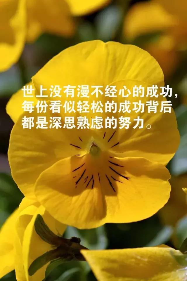 震撼心灵的3篇励志美文,值得一读