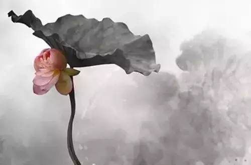 人生苦难的句子(人生磨练的唯美句子)