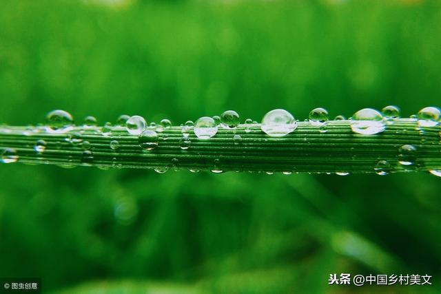 散文:春雨