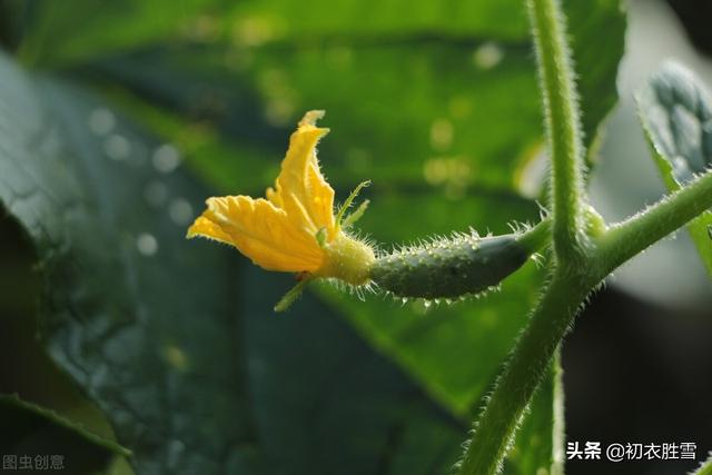 梅雨季节发朋友圈的句子 梅雨季节发朋友圈的句子