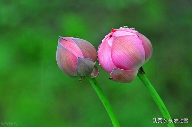 梅雨季节发朋友圈的句子 梅雨季节发朋友圈的句子