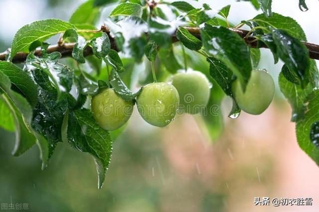 梅雨季节发朋友圈的句子 梅雨季节发朋友圈的句子